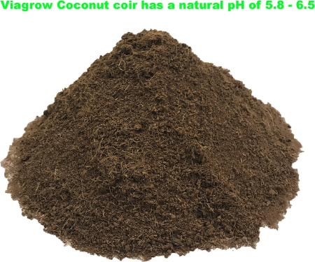 G125 VCCB5